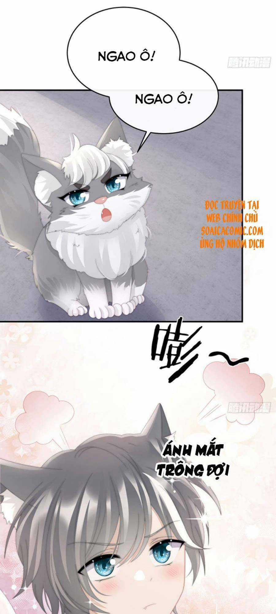 Thê Chủ, Thỉnh Hưởng Dụng Chapter 34 trang 34