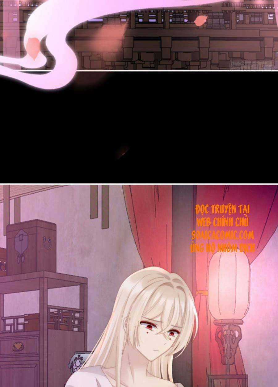 Thê Chủ, Thỉnh Hưởng Dụng Chapter 34 trang 8