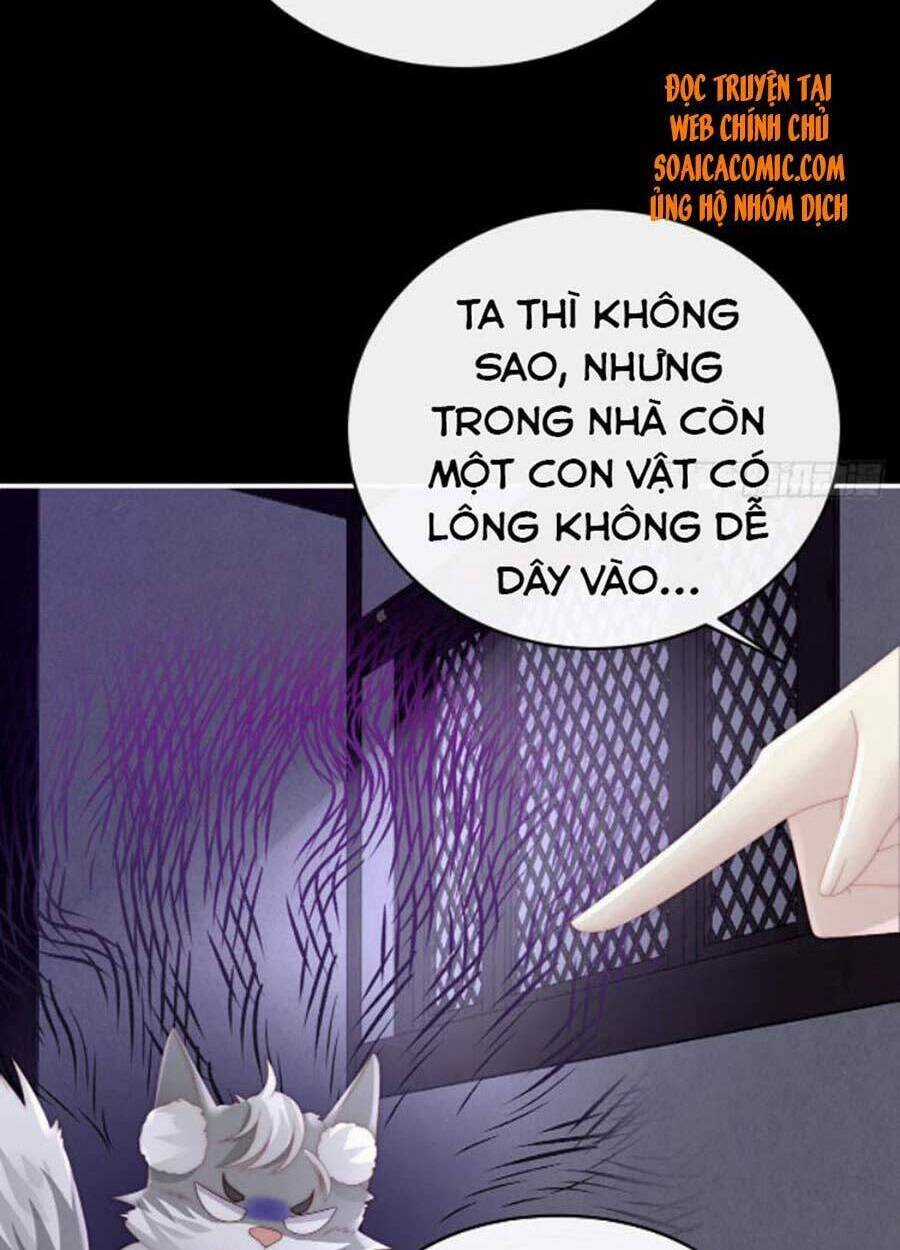 Thê Chủ, Thỉnh Hưởng Dụng Chapter 39 trang 52