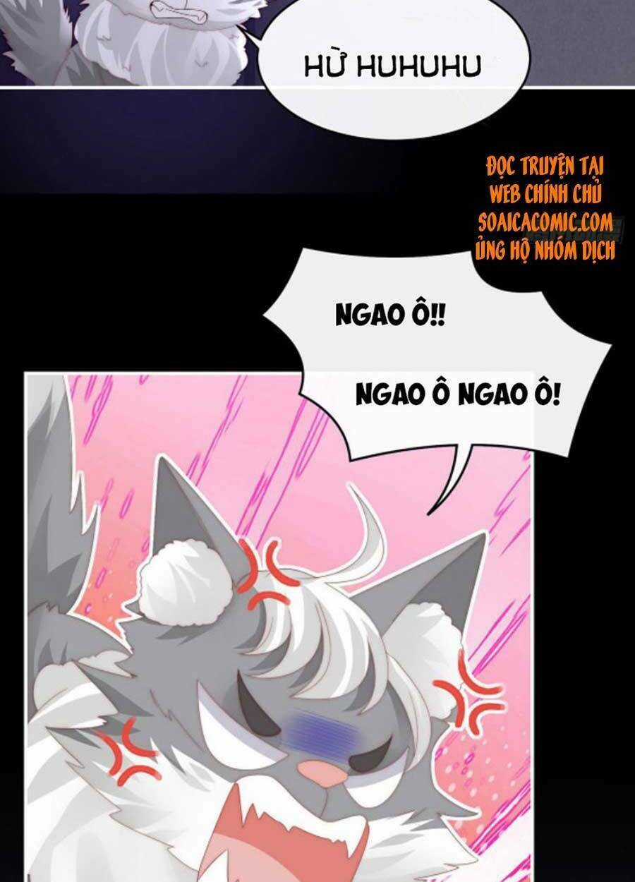 Thê Chủ, Thỉnh Hưởng Dụng Chapter 39 trang 53