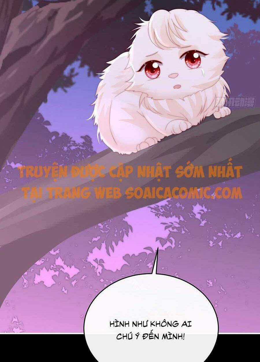 Thê Chủ, Thỉnh Hưởng Dụng Chapter 40 trang 16