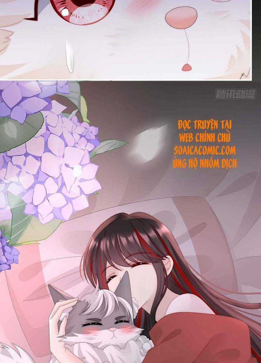 Thê Chủ, Thỉnh Hưởng Dụng Chapter 40 trang 20