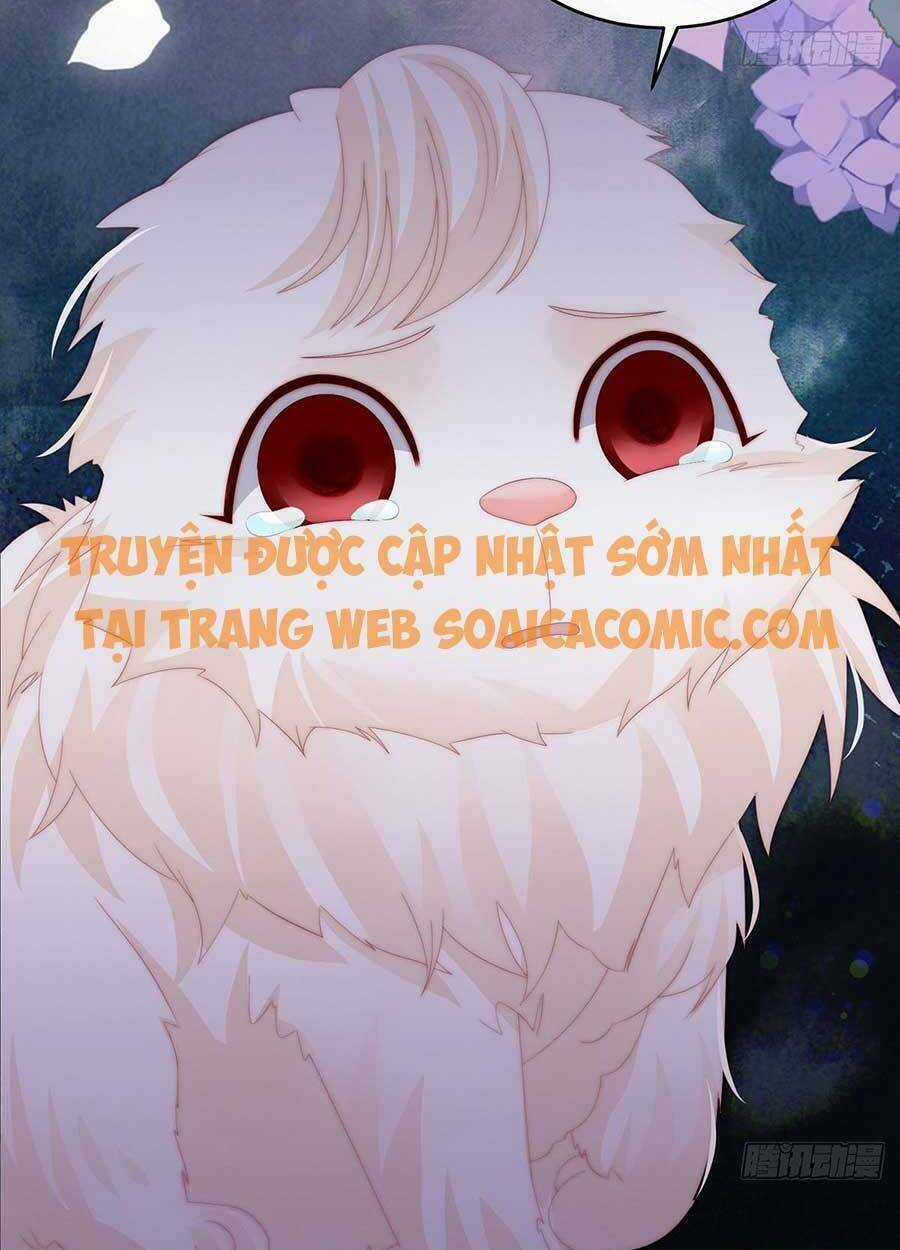 Thê Chủ, Thỉnh Hưởng Dụng Chapter 40 trang 22