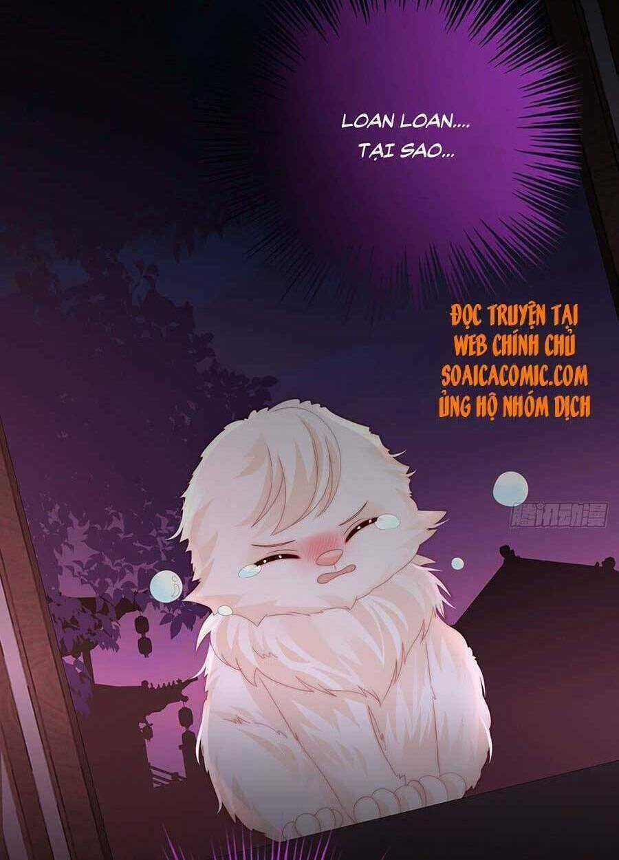 Thê Chủ, Thỉnh Hưởng Dụng Chapter 40 trang 25