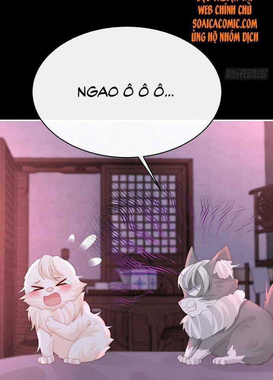 Thê Chủ, Thỉnh Hưởng Dụng Chapter 40 trang 32