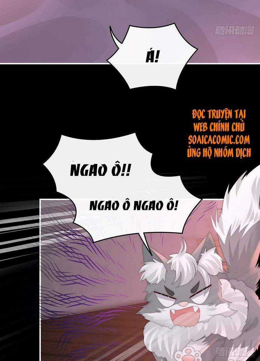 Thê Chủ, Thỉnh Hưởng Dụng Chapter 40 trang 33