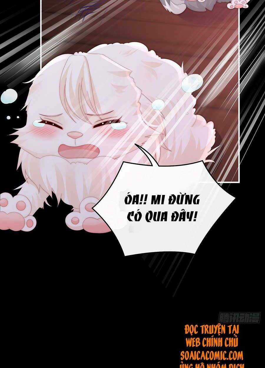 Thê Chủ, Thỉnh Hưởng Dụng Chapter 40 trang 34