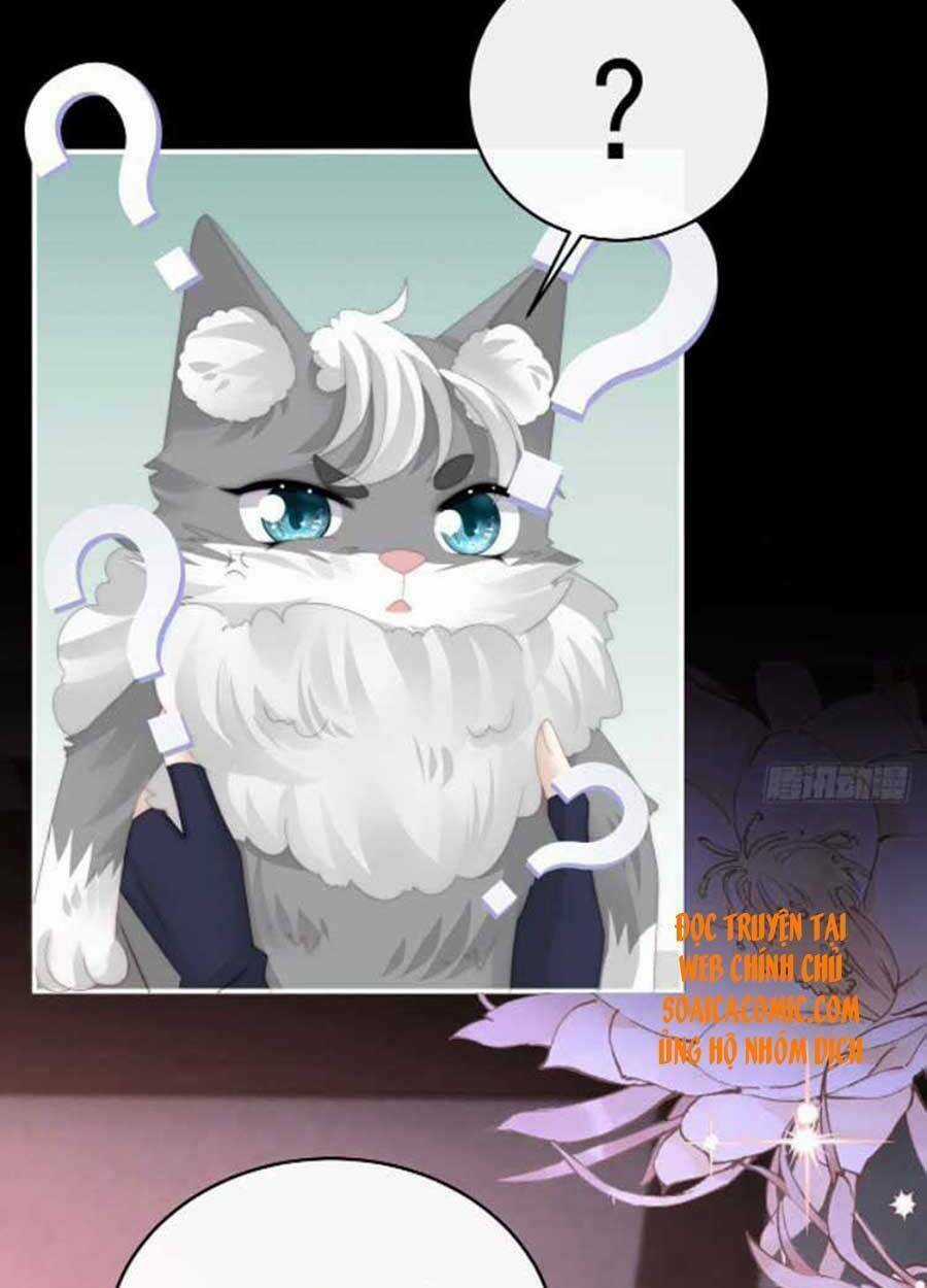 Thê Chủ, Thỉnh Hưởng Dụng Chapter 45 trang 25