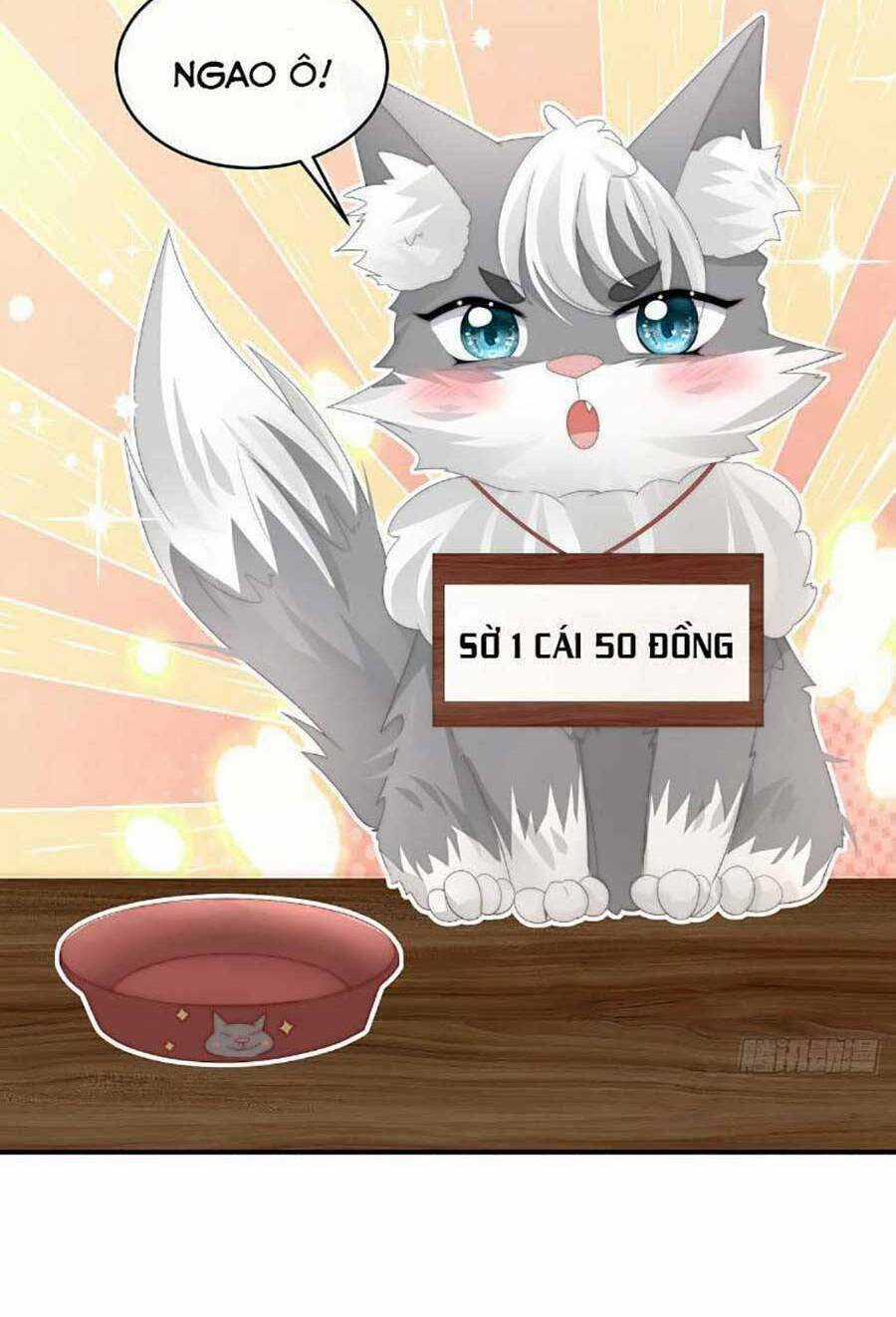 Thê Chủ, Thỉnh Hưởng Dụng Chapter 47 trang 13