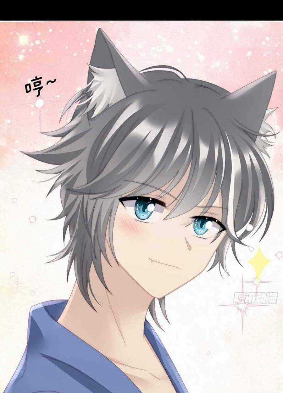 Thê Chủ, Thỉnh Hưởng Dụng Chapter 47 trang 35