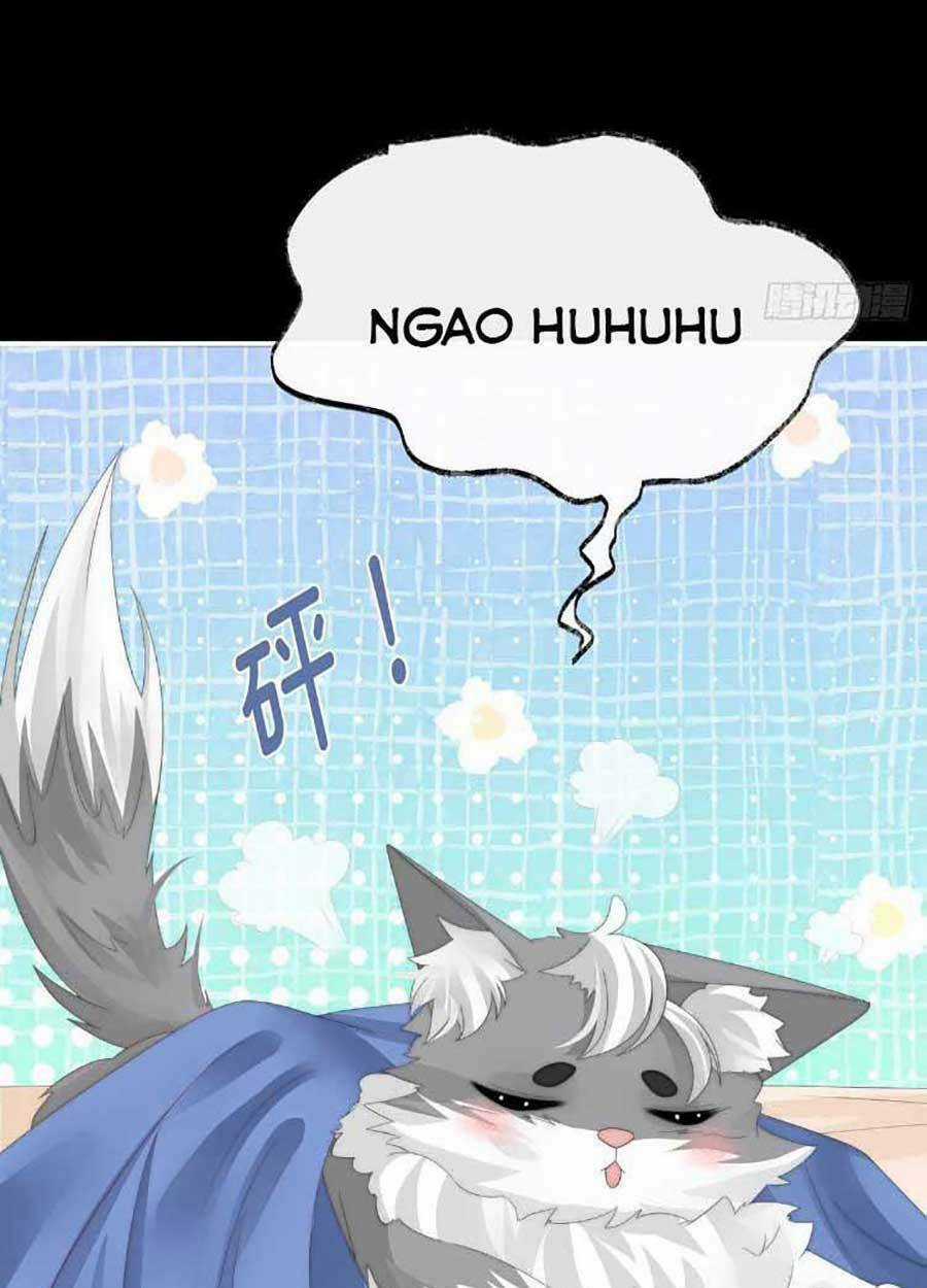 Thê Chủ, Thỉnh Hưởng Dụng Chapter 47 trang 42