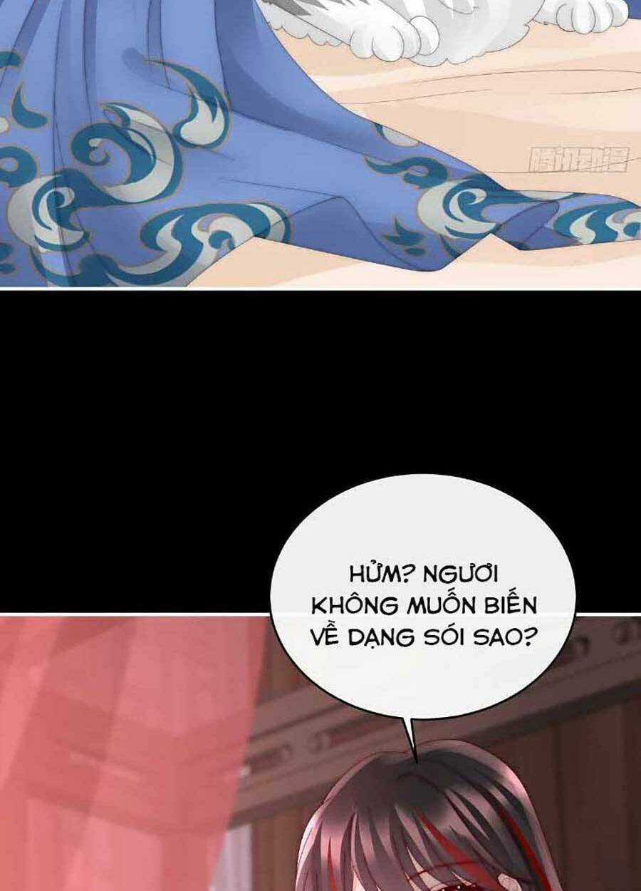 Thê Chủ, Thỉnh Hưởng Dụng Chapter 47 trang 43