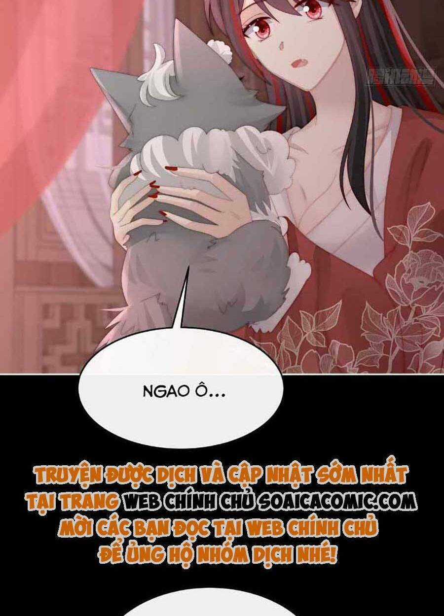 Thê Chủ, Thỉnh Hưởng Dụng Chapter 47 trang 44