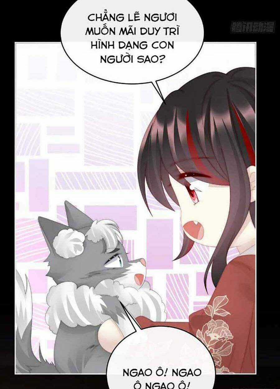 Thê Chủ, Thỉnh Hưởng Dụng Chapter 47 trang 45