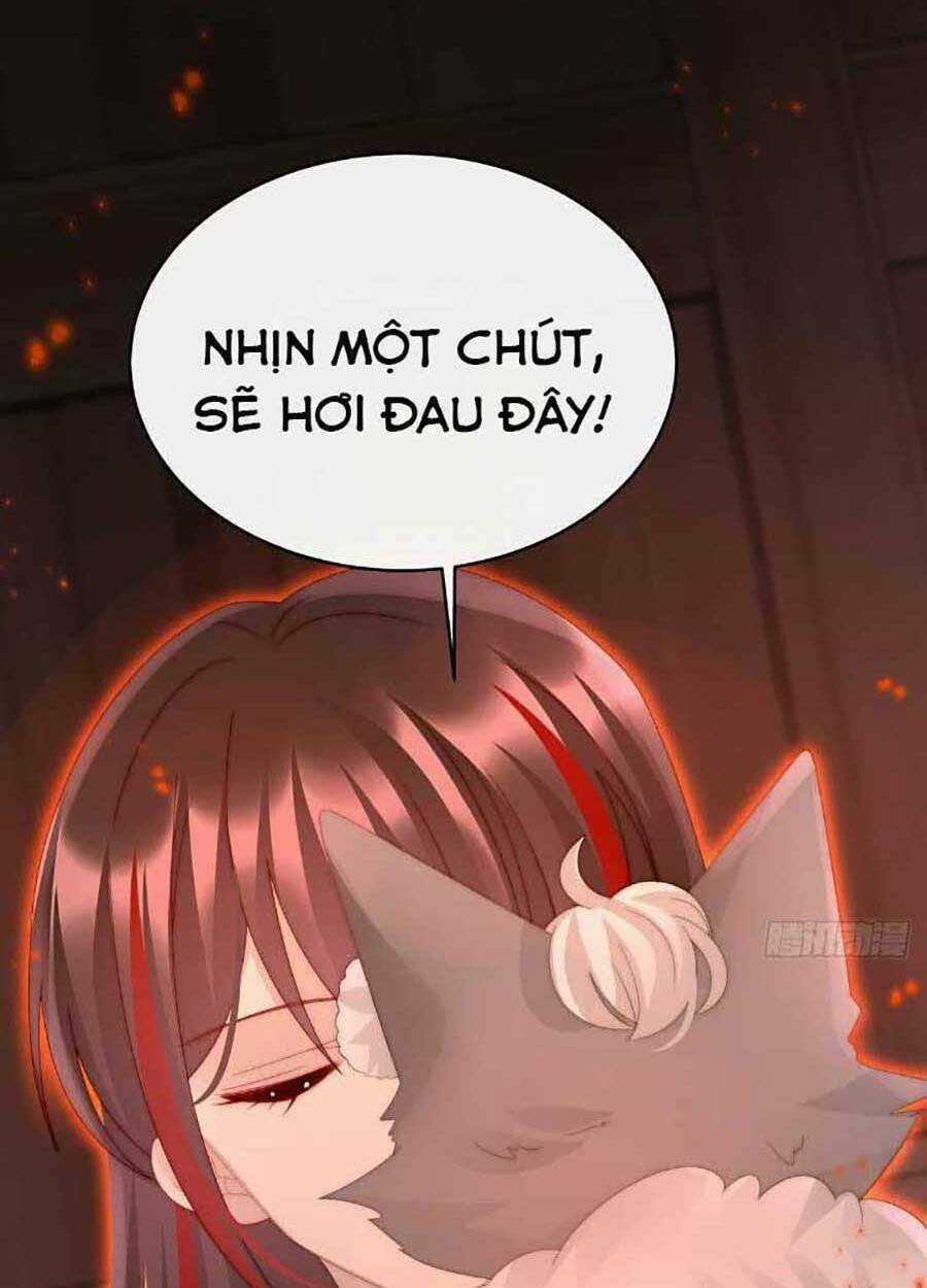 Thê Chủ, Thỉnh Hưởng Dụng Chapter 47 trang 50