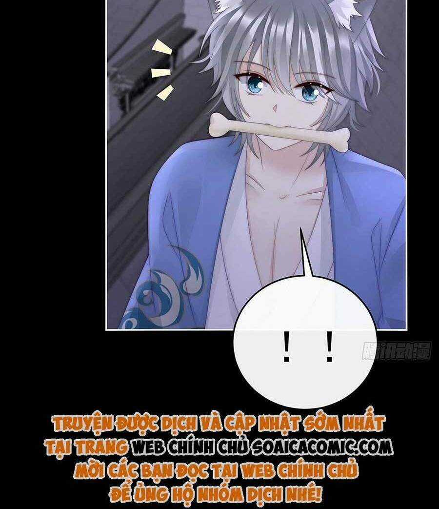 Thê Chủ, Thỉnh Hưởng Dụng Chapter 50 trang 30