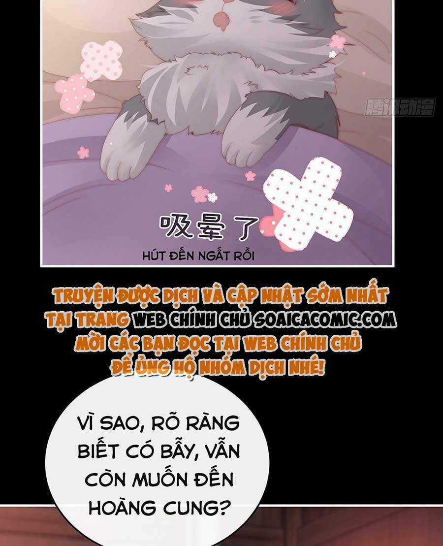 Thê Chủ, Thỉnh Hưởng Dụng Chapter 50 trang 45