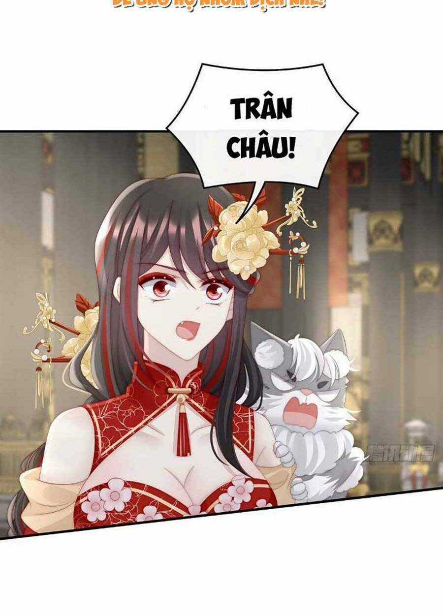 Thê Chủ, Thỉnh Hưởng Dụng Chapter 52 trang 36