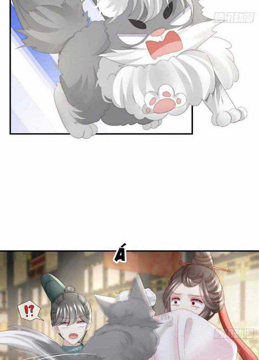 Thê Chủ, Thỉnh Hưởng Dụng Chapter 52 trang 50