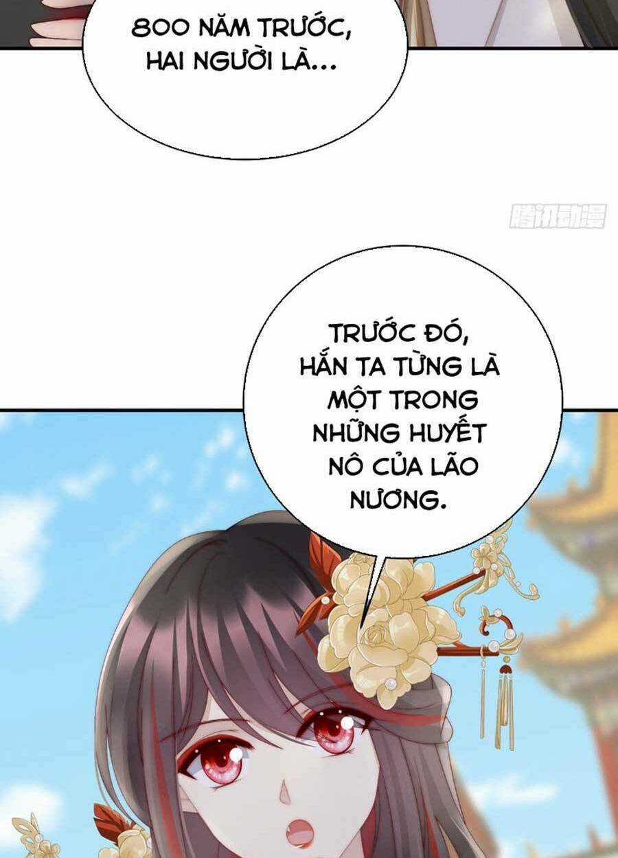 Thê Chủ, Thỉnh Hưởng Dụng Chapter 54 trang 49