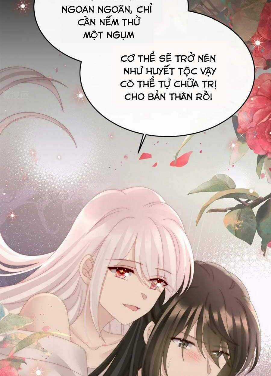 Thê Chủ, Thỉnh Hưởng Dụng Chapter 66 trang 11