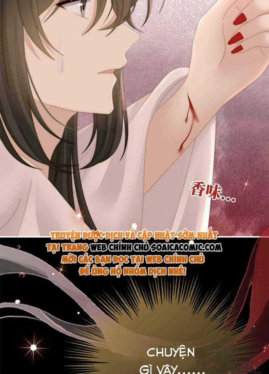 Thê Chủ, Thỉnh Hưởng Dụng Chapter 66 trang 16