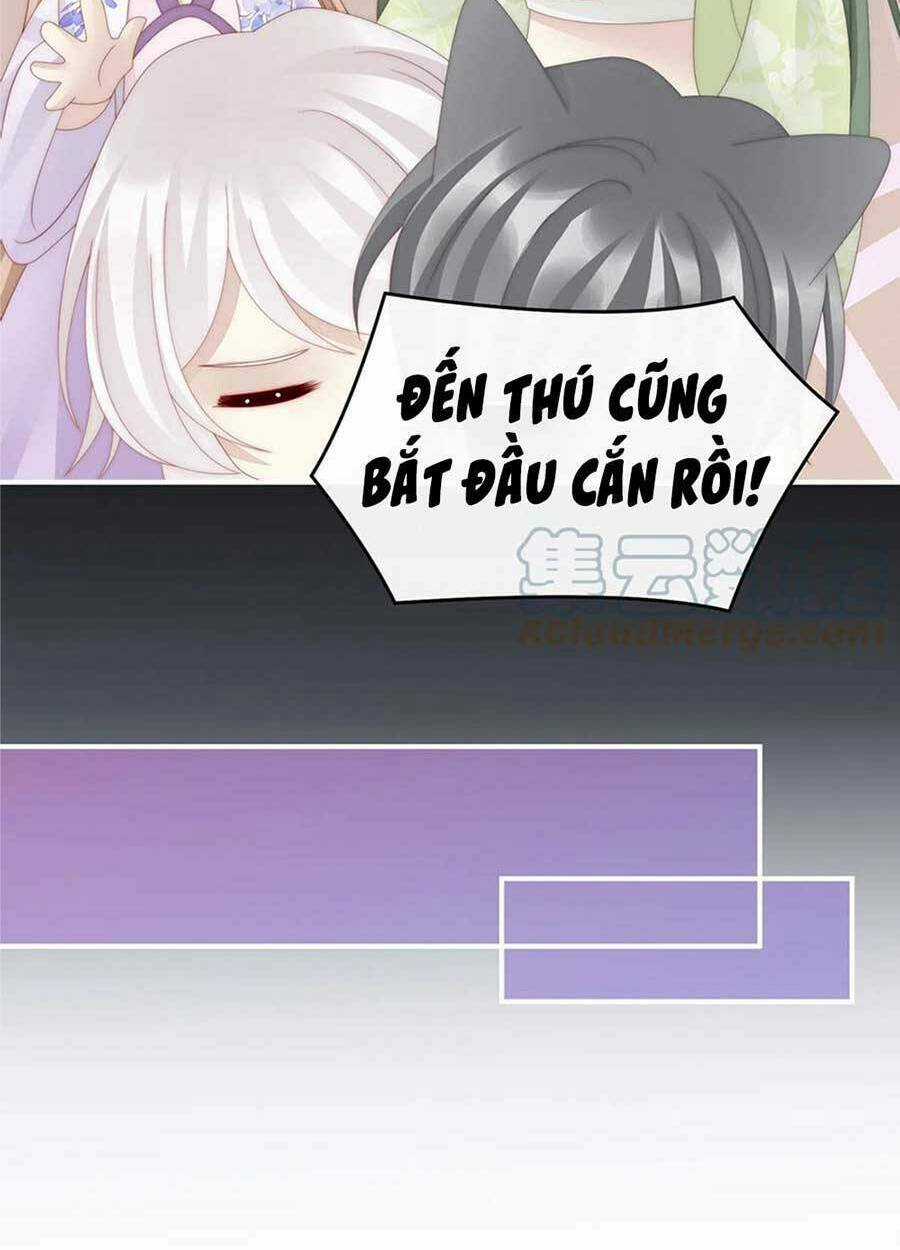 Thê Chủ, Thỉnh Hưởng Dụng Chapter 67 trang 23