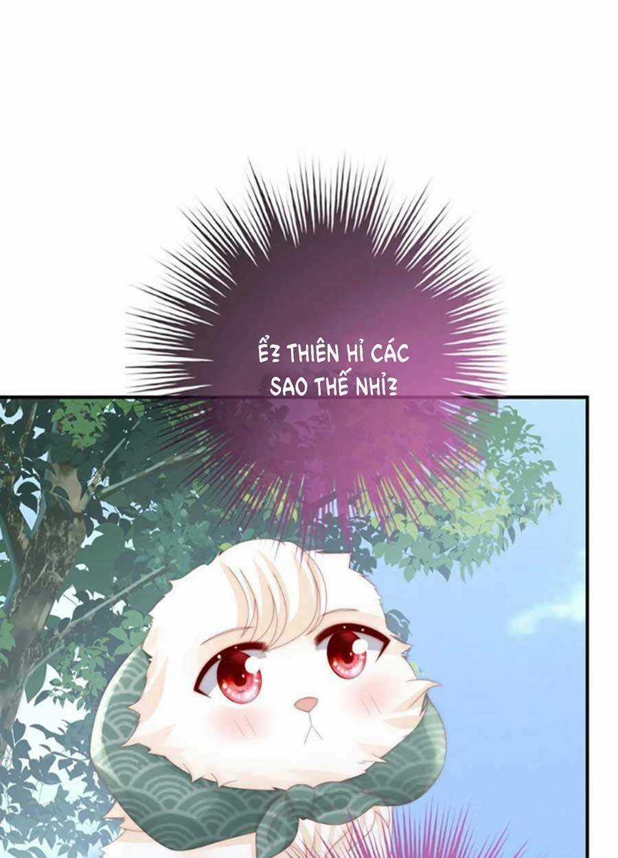 Thê Chủ, Thỉnh Hưởng Dụng Chapter 71 trang 43