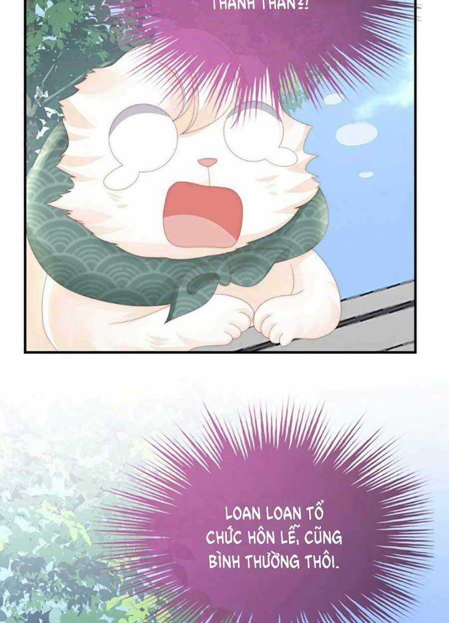 Thê Chủ, Thỉnh Hưởng Dụng Chapter 71 trang 47