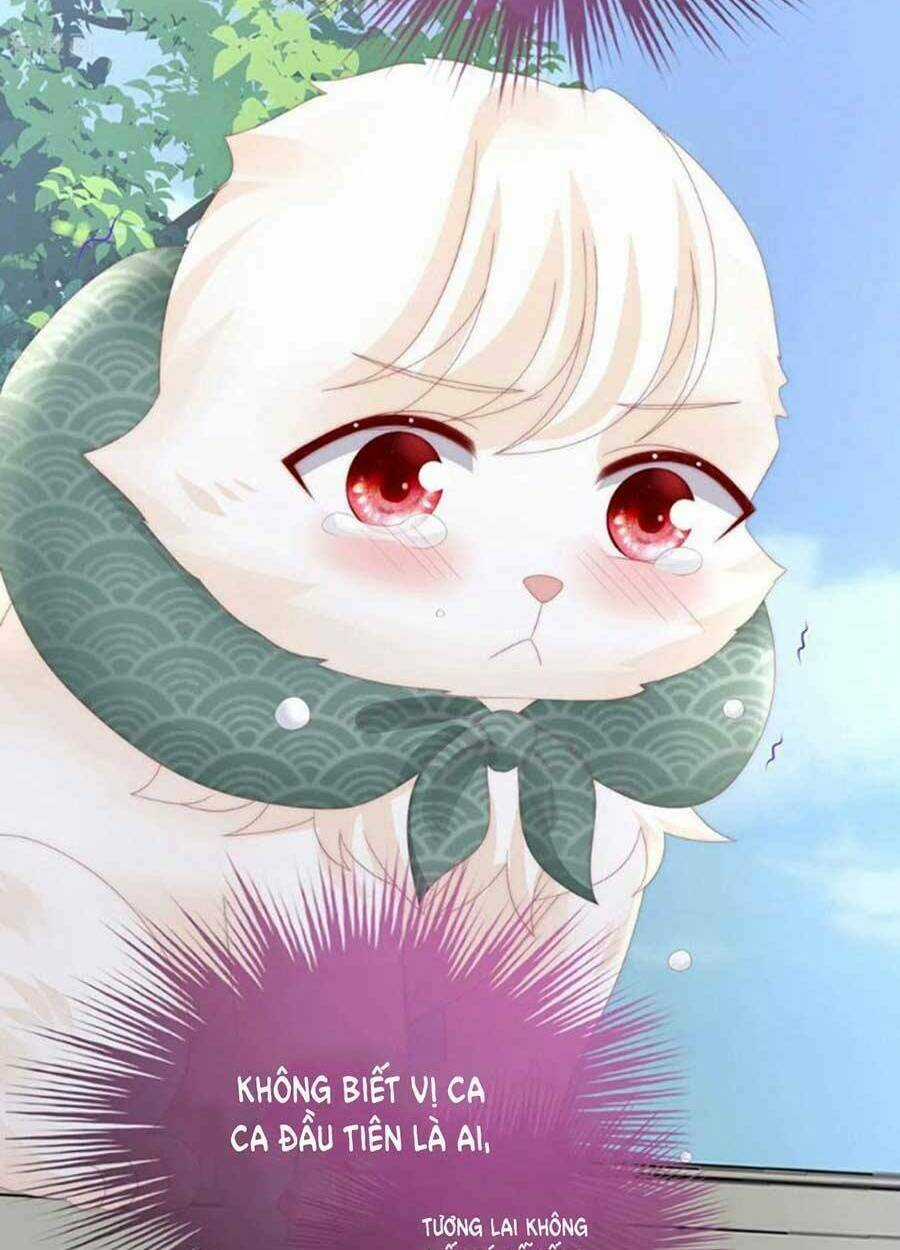 Thê Chủ, Thỉnh Hưởng Dụng Chapter 71 trang 48