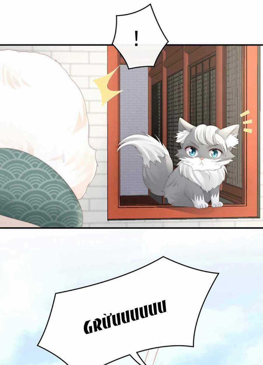 Thê Chủ, Thỉnh Hưởng Dụng Chapter 71 trang 50