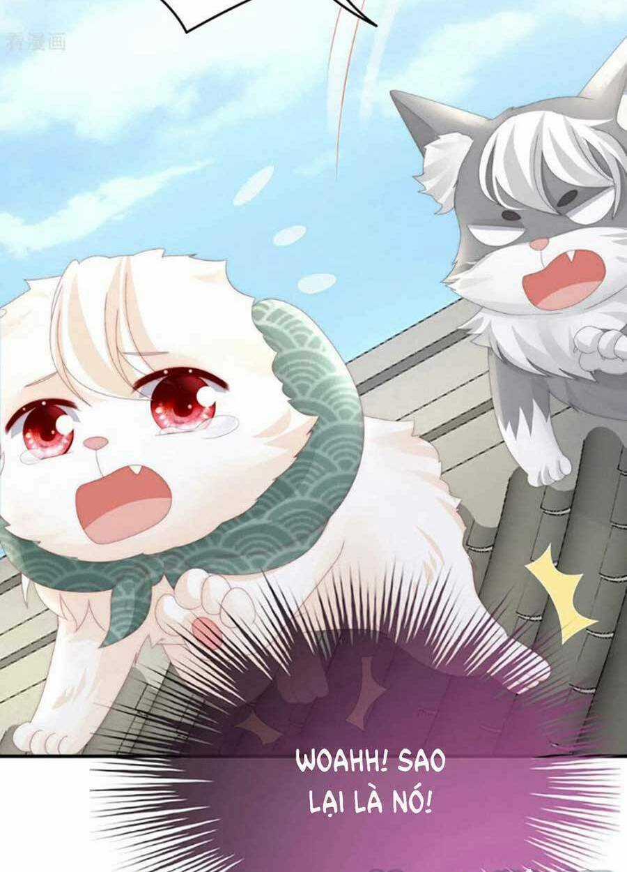 Thê Chủ, Thỉnh Hưởng Dụng Chapter 71 trang 51