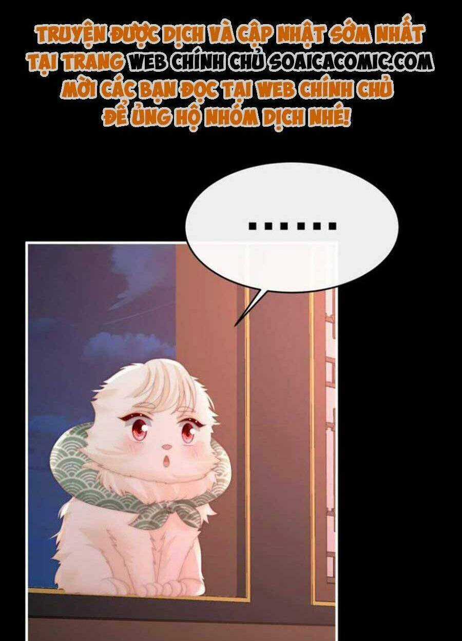 Thê Chủ, Thỉnh Hưởng Dụng Chapter 72 trang 26
