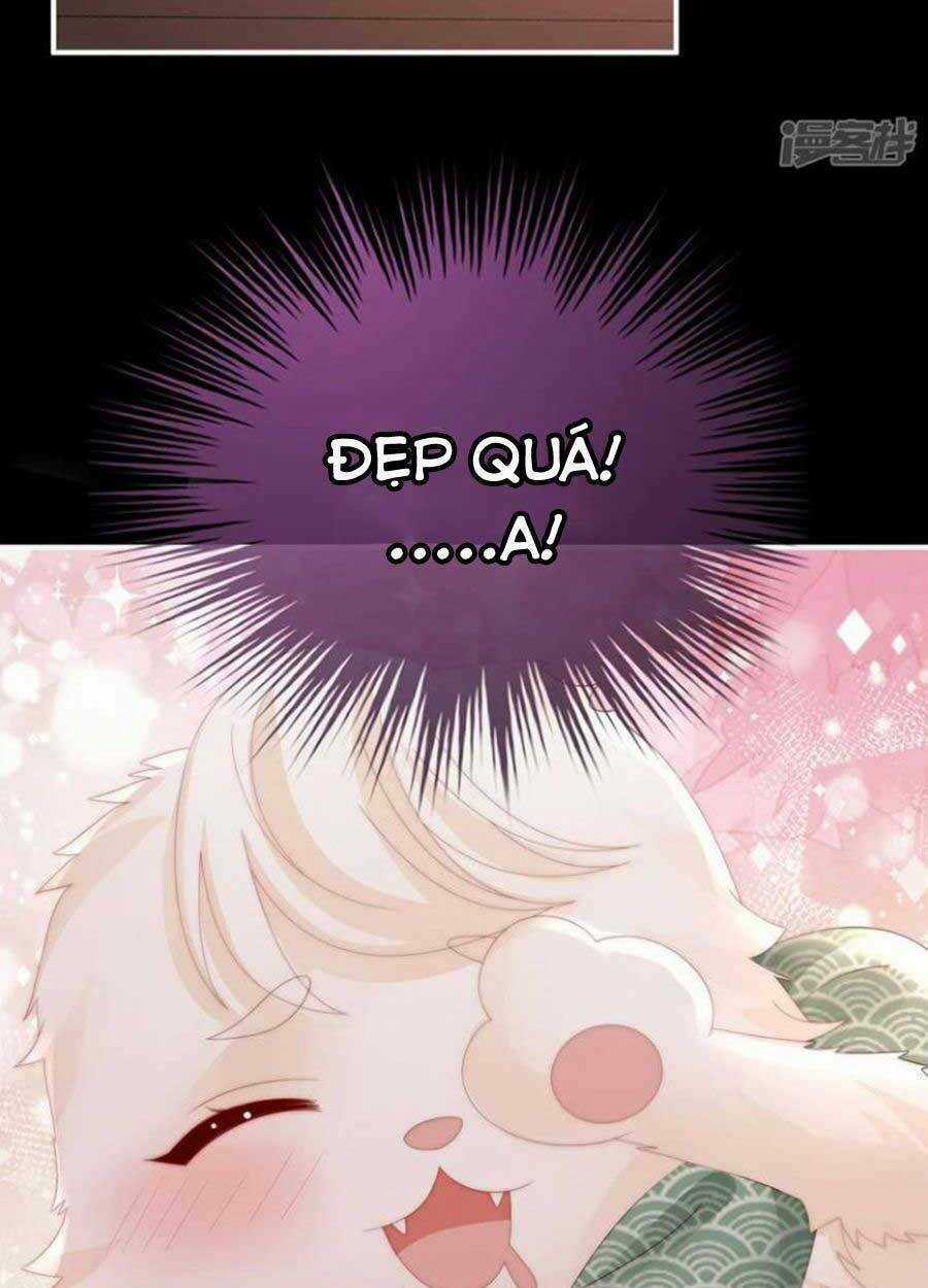 Thê Chủ, Thỉnh Hưởng Dụng Chapter 72 trang 27