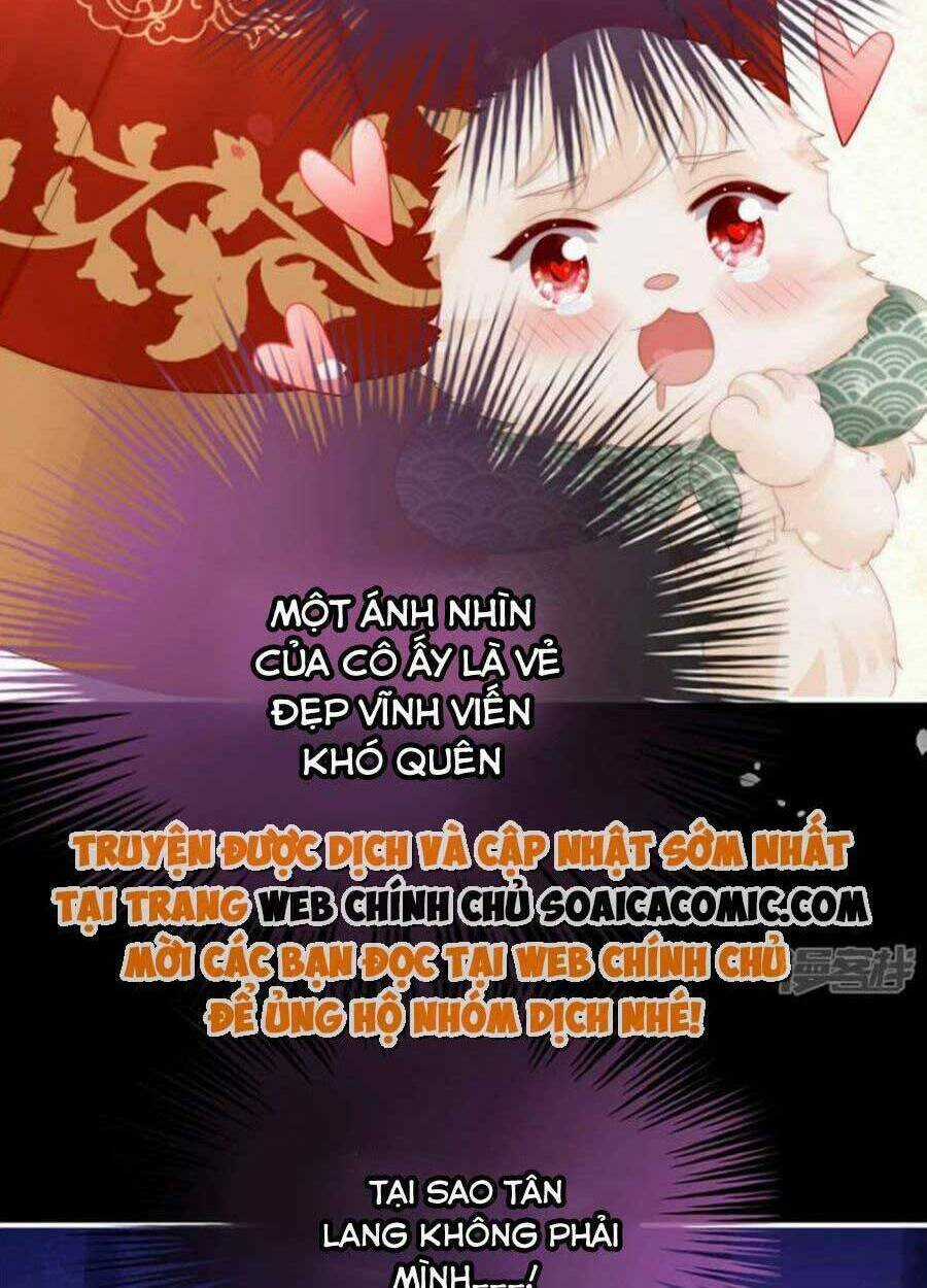 Thê Chủ, Thỉnh Hưởng Dụng Chapter 72 trang 30