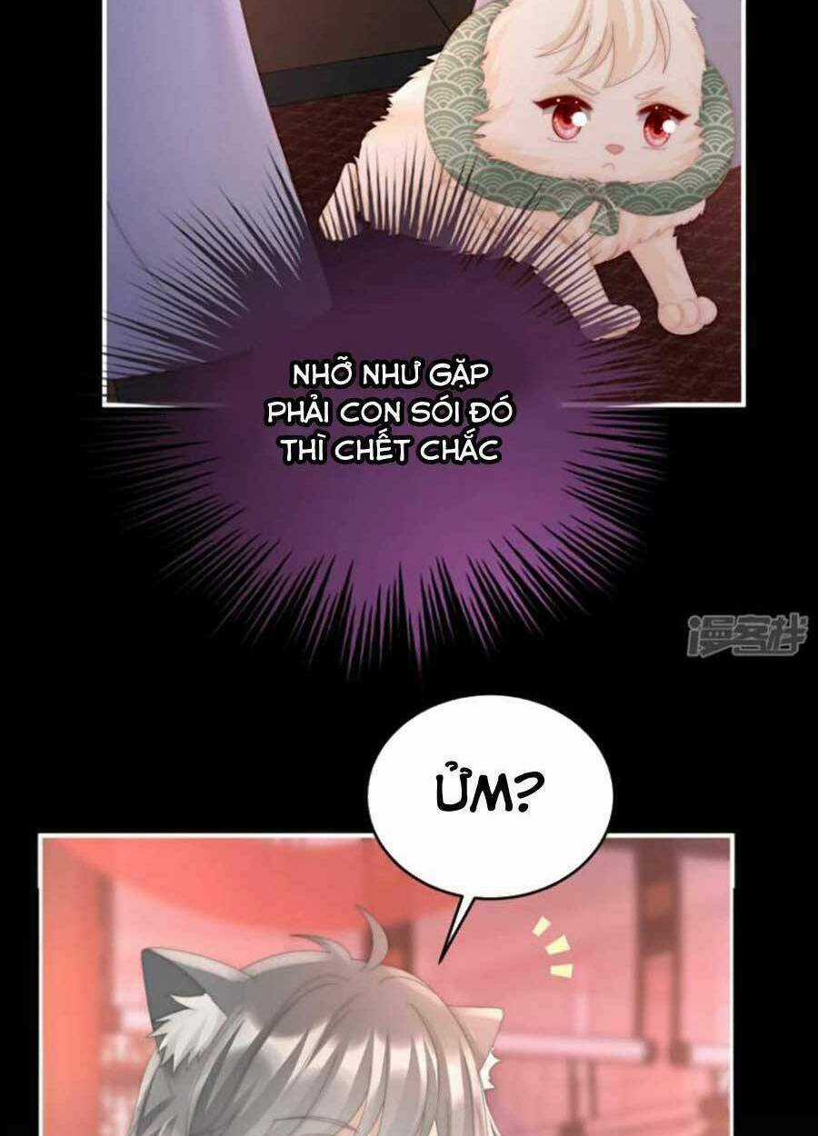 Thê Chủ, Thỉnh Hưởng Dụng Chapter 72 trang 33