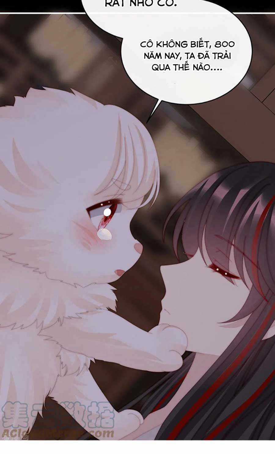 Thê Chủ, Thỉnh Hưởng Dụng Chapter 75 trang 41