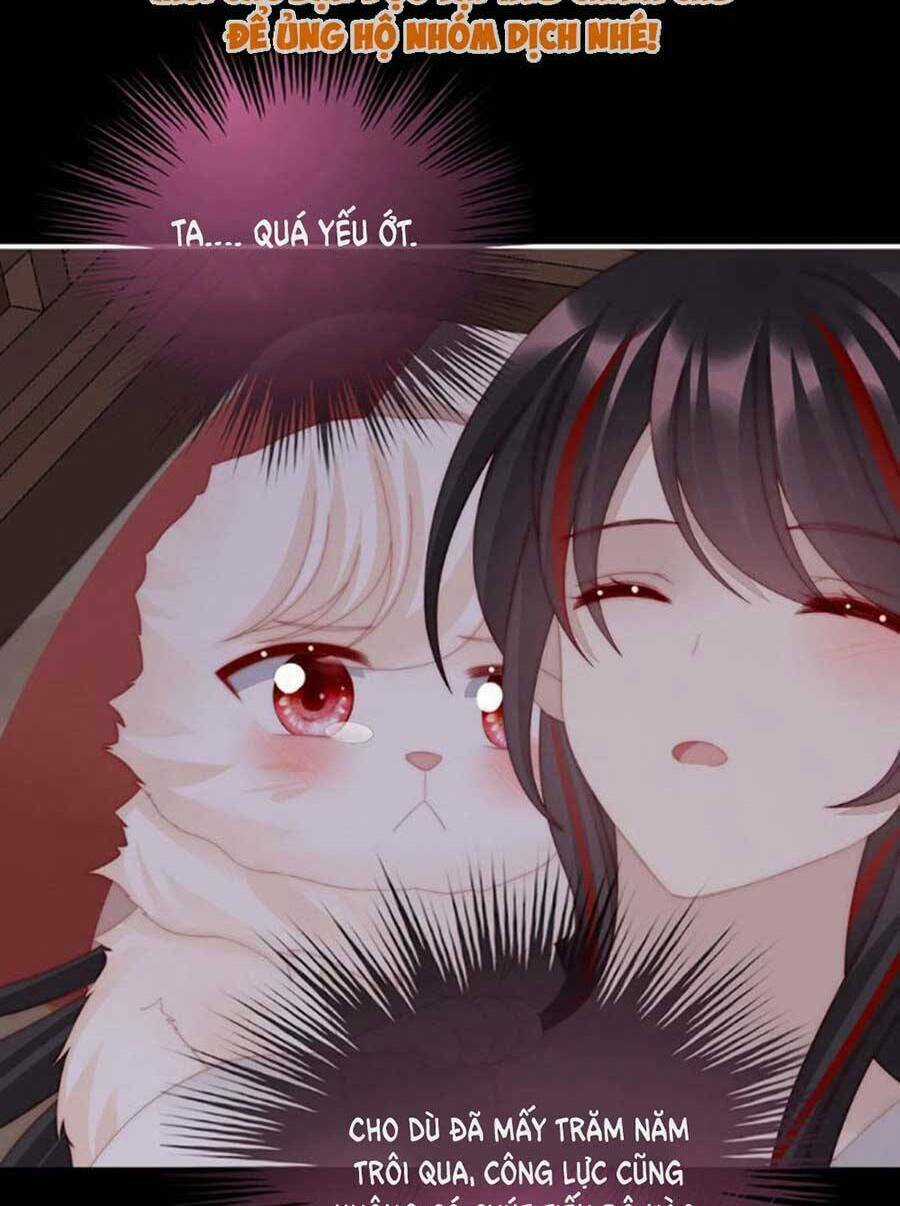 Thê Chủ, Thỉnh Hưởng Dụng Chapter 75 trang 44