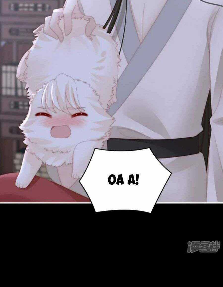 Thê Chủ, Thỉnh Hưởng Dụng Chapter 76 trang 5