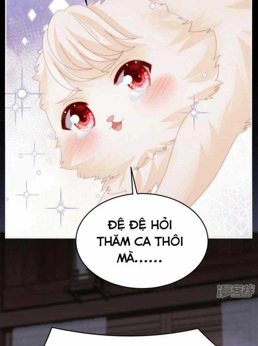 Thê Chủ, Thỉnh Hưởng Dụng Chapter 76 trang 8