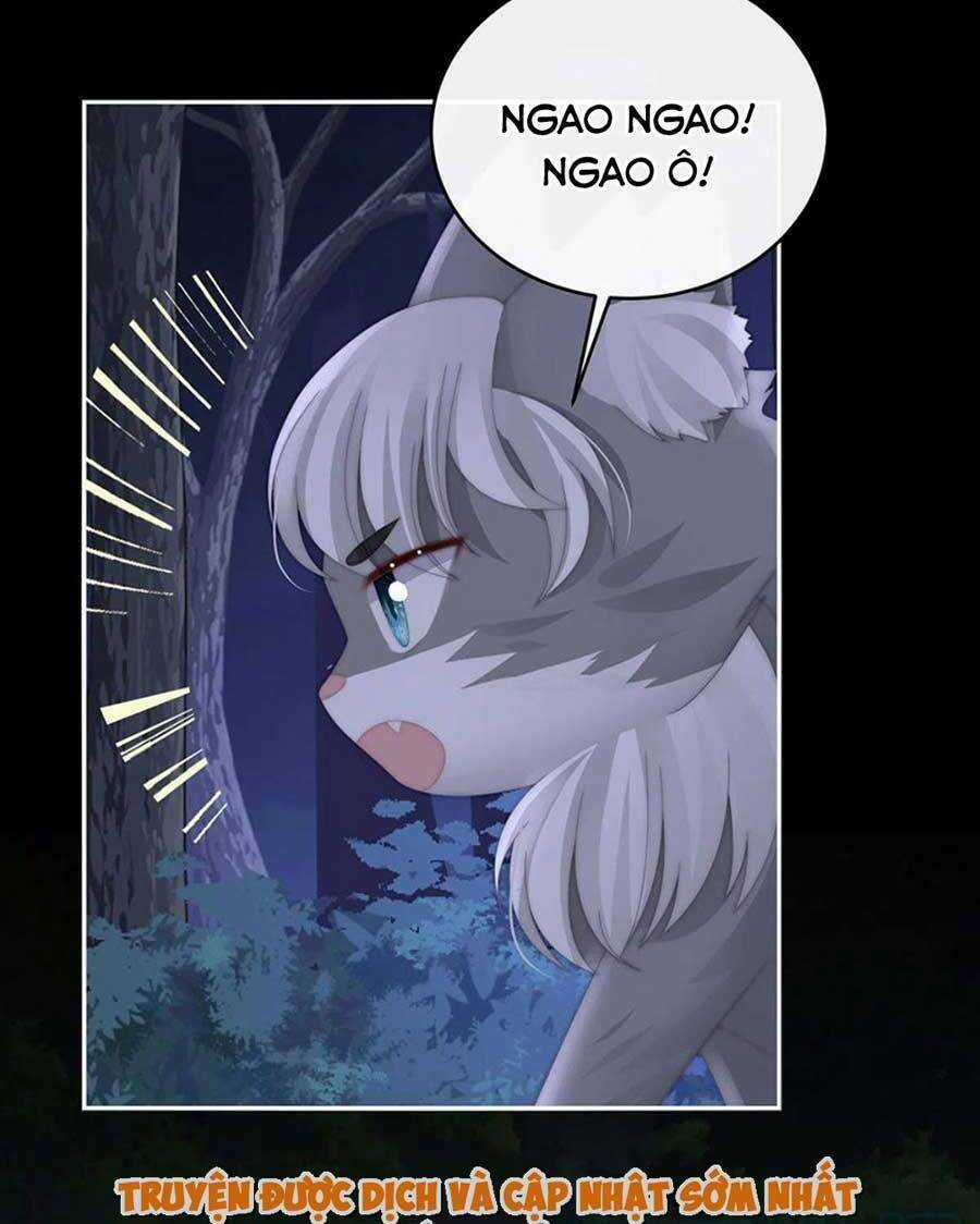 Thê Chủ, Thỉnh Hưởng Dụng Chapter 77 trang 43