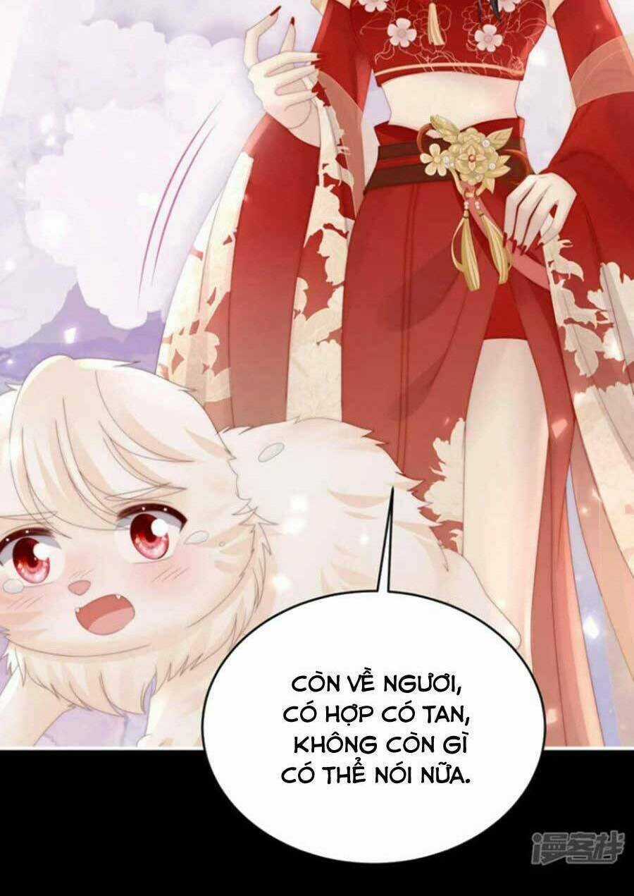 Thê Chủ, Thỉnh Hưởng Dụng Chapter 79 trang 13