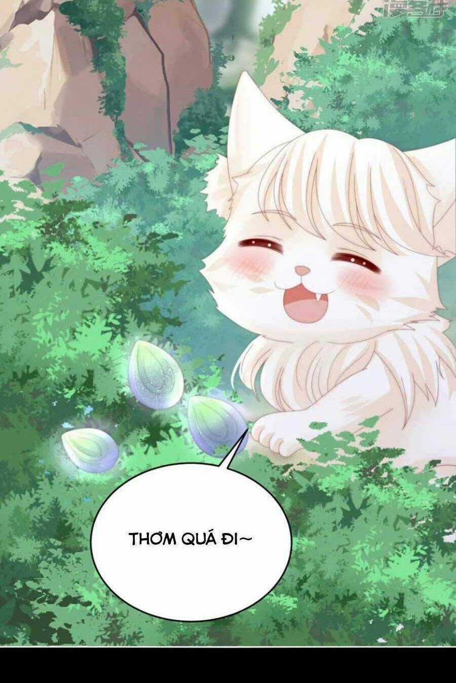 Thê Chủ, Thỉnh Hưởng Dụng Chapter 79 trang 27