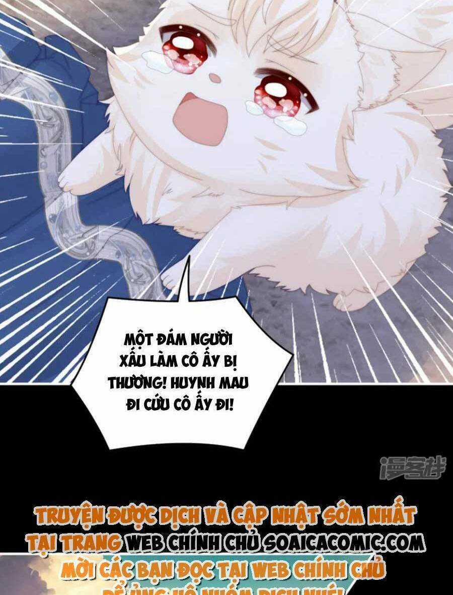 Thê Chủ, Thỉnh Hưởng Dụng Chapter 79 trang 40