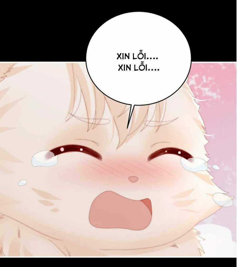 Thê Chủ, Thỉnh Hưởng Dụng Chapter 79 trang 46