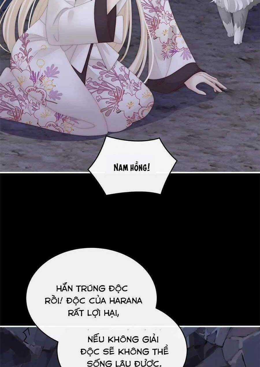 Thê Chủ, Thỉnh Hưởng Dụng Chapter 81 trang 31