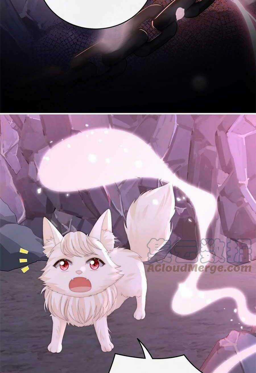 Thê Chủ, Thỉnh Hưởng Dụng Chapter 82 trang 42