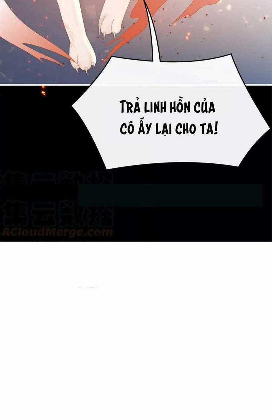 Thê Chủ, Thỉnh Hưởng Dụng Chapter 82 trang 51