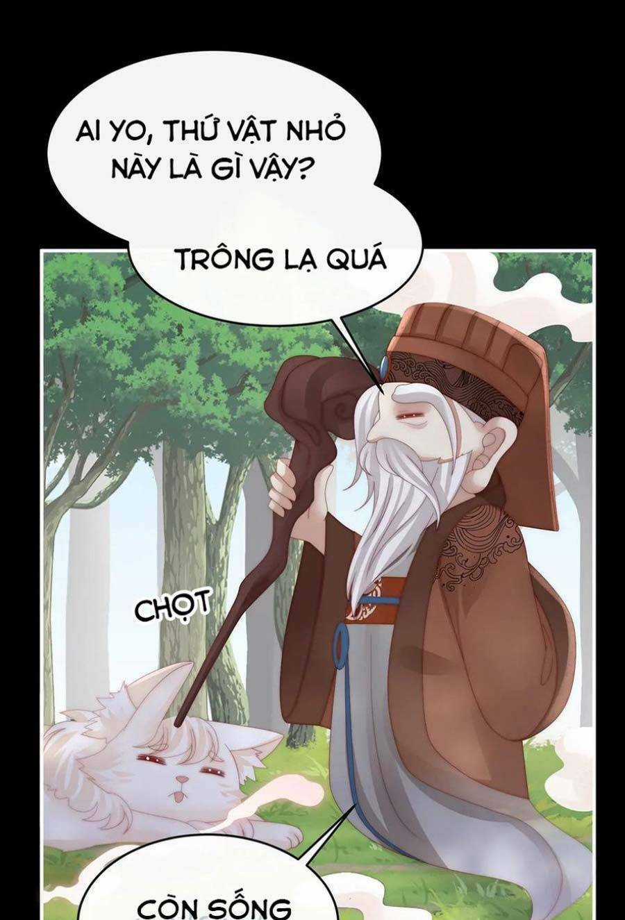 Thê Chủ, Thỉnh Hưởng Dụng Chapter 83 trang 12