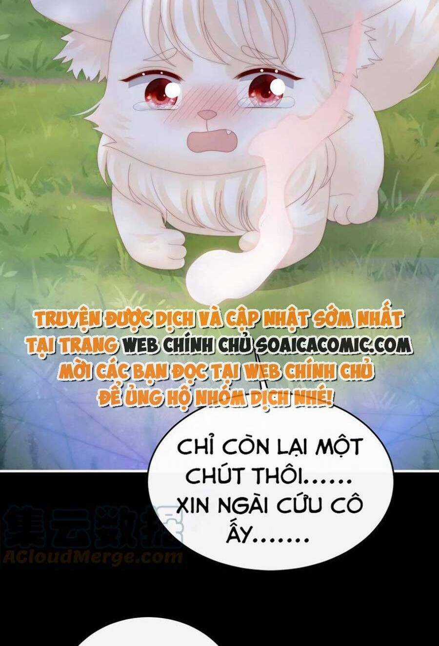Thê Chủ, Thỉnh Hưởng Dụng Chapter 83 trang 16